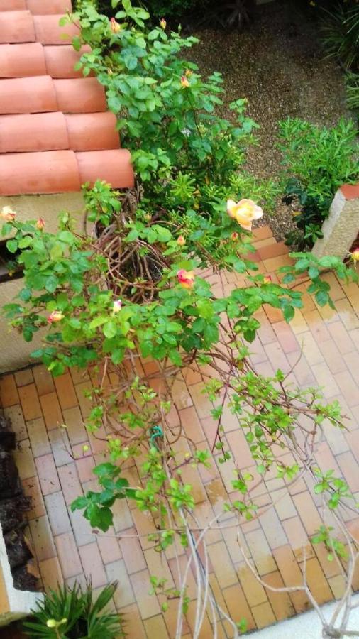 Maison Charmante A Sainte-Marie Avec Grand Jardin Εξωτερικό φωτογραφία